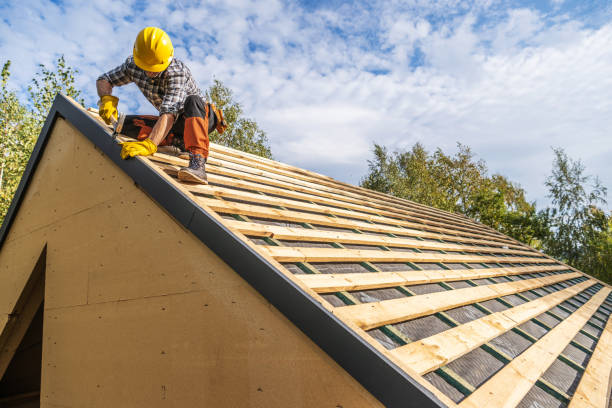 Best Roof Gutter Cleaning  in Kitty Hawk, NC