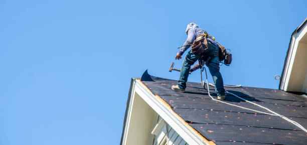 Best Roof Gutter Cleaning  in Kitty Hawk, NC